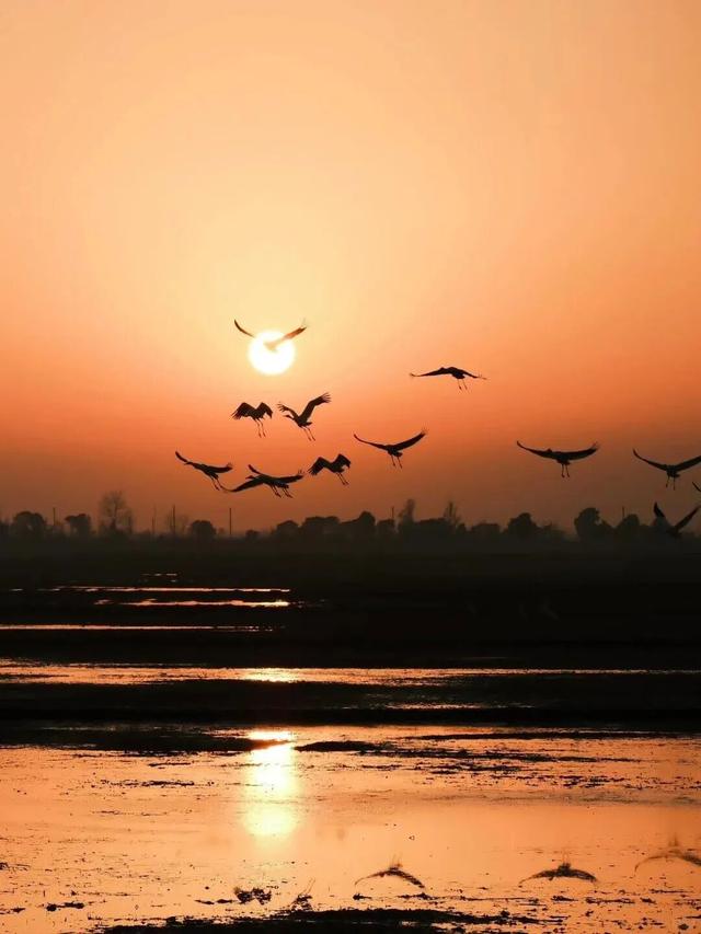 跟着课本游赣鄱！