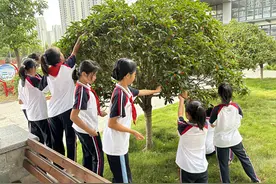 上合示范区：乐享校园“桂花雨” 闻香识桂品秋趣图片