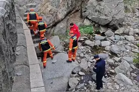 一块泰山石的“回家”之路图片