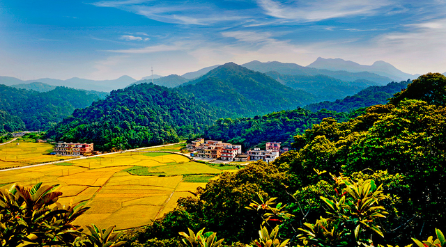 央视大片《珠江》里的花都④：花都的美，每一秒都封神~
