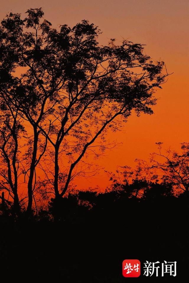 四季山林入窗来，镇江首家森林图书馆云山驿成文旅新打卡地