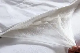 记者调查丨蚕丝被“芯”不同，你会选吗？图片