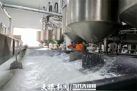 天柱县：小黄豆做成大产业 新思维盘活老品牌图片