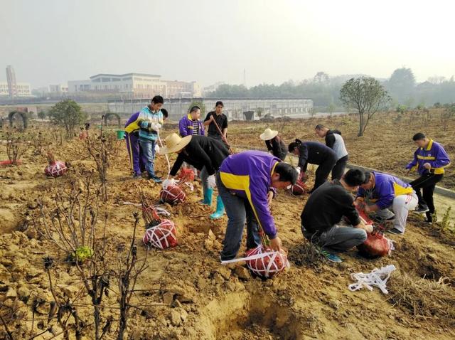 花开成海！快来打卡溧水这座校园