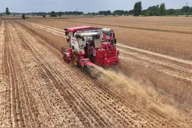 河南山东等地小麦陆续开镰收割#图片