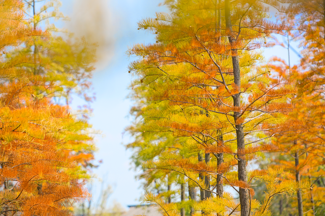 下一站,凉山!开启阳光康养之旅