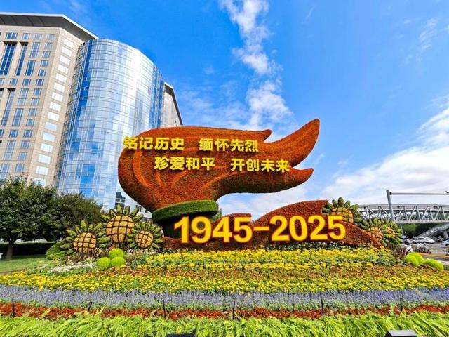 纪念抗战胜利80周年主题花坛亮相！打卡指南→