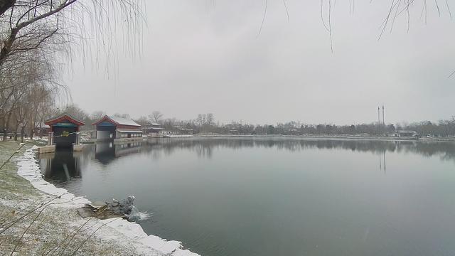 京城初雪如约而至！雪落无声，人游有影