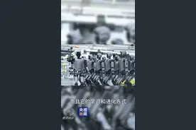 具身智能到底是什么？跟机器人又有什么不同？图片