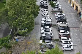 探寻基层治理密码｜一场业委会的自治“突围”图片