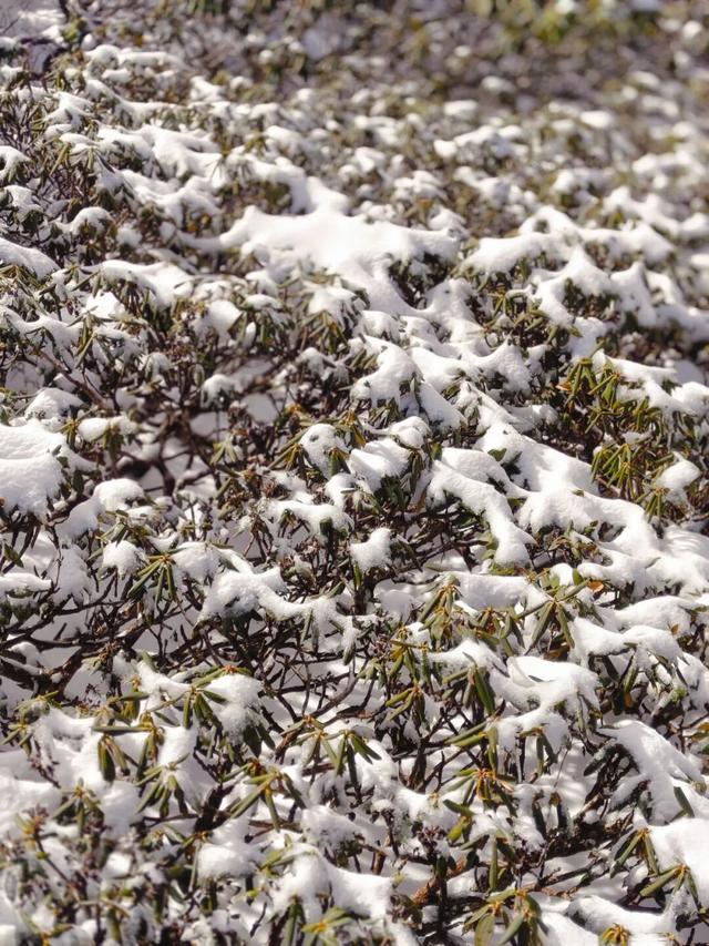 雪落大理苍山，有着道不尽的浪漫