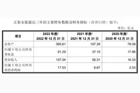 IPO雷达 | 正泰安能冲户用光伏第一股，南存辉“正泰系”资本帝国大运作图片