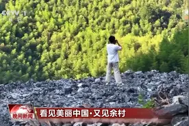 看见美丽中国丨20年“灰山”变“青山” 老乡村“长”出新业态图片