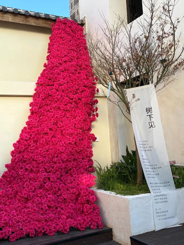 【冬季暖阳 凉山不凉】“冬游会理吃羊肉晒太阳”文旅系列活动火热进行时