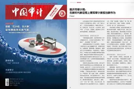 《中国审计》刊发临沂市审计局局长署名文章图片
