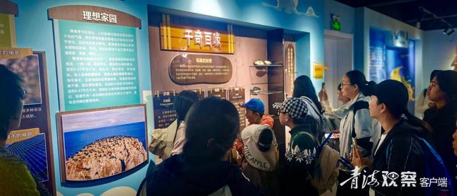 走进青海湖开启自然教育研学之旅