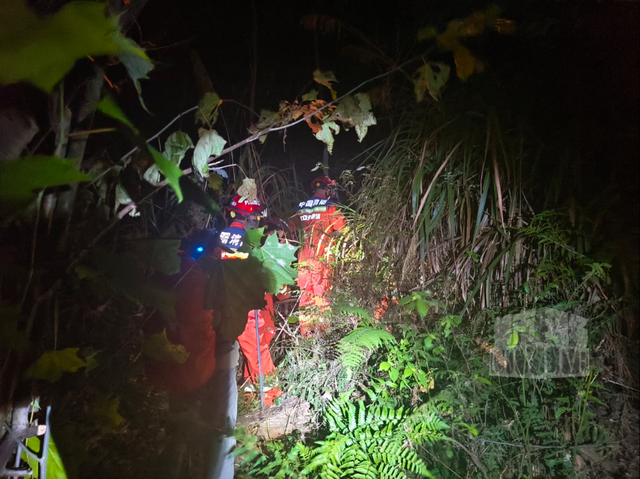 8名“银发”徒步爱好者被困景德镇深山，消防连夜施救