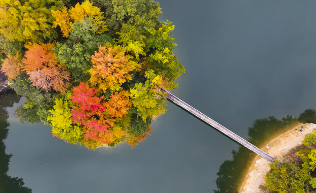 我在这里，等你→