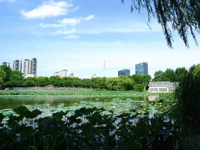 热到融化？来这里立刻降温5℃！
