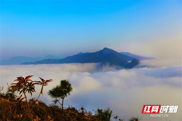湖南洪江区：云端之上，定格云海日出的诗意画卷
