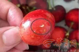 樱桃泡水钻出“白虫”是正常现象？ 医生：两类人少吃图片