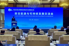 清洁能源新纪元 国际友城共绘可持续发展蓝图图片