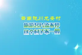 沿着边境看中国 | 云南陇川龙安村：旅游名片添不停 这个村子不一般图片