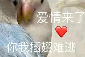 520脱单大冒险！快来壹点动心，解锁你的脱单“开挂”神器图片