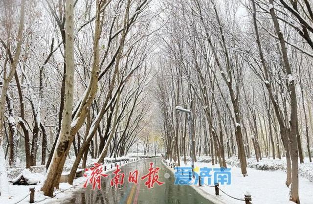 一年四季 泉在济南丨雪漫济南府 九景入画来