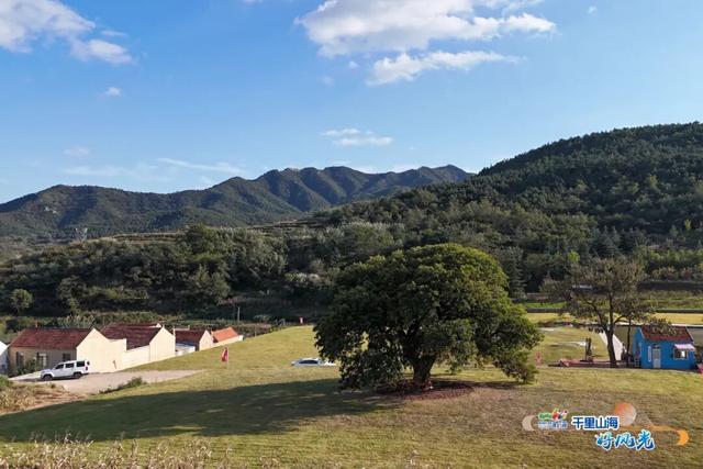 出发！抓住秋天的尾巴威海『拾秋地图』上新啦