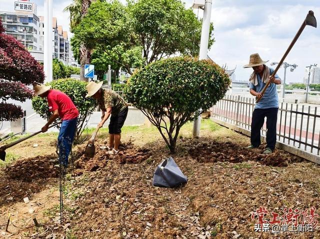 喜迎国庆中秋，沿江风光带换“秋装”