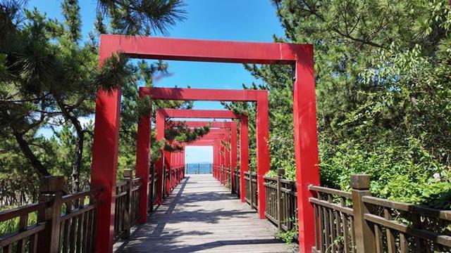 烟台自然博物馆：“五美融育”绘就 “仙境海岸·最美博馆”