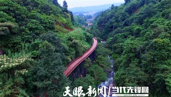 山海同心共谋发展｜广东龙门助力  普安开启茶旅融合发展新篇章