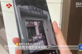 1500万买江南院落，交付竟变绿篱草地！高档别墅遭业主集体拒收图片