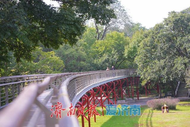 一年四季 泉在济南丨泉城公园秋景如画 晴日漫步赏秋享惬意