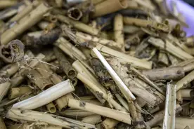 一盘家常菜，撂倒了一家三口图片