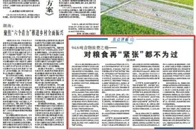 94.6吨食物浪费之痛——对粮食再“紧张”都不为过图片