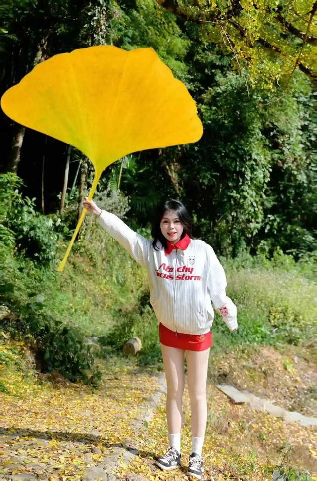 霸屏福安人朋友圈的这棵树即将进入最佳观赏期！时间就在…...