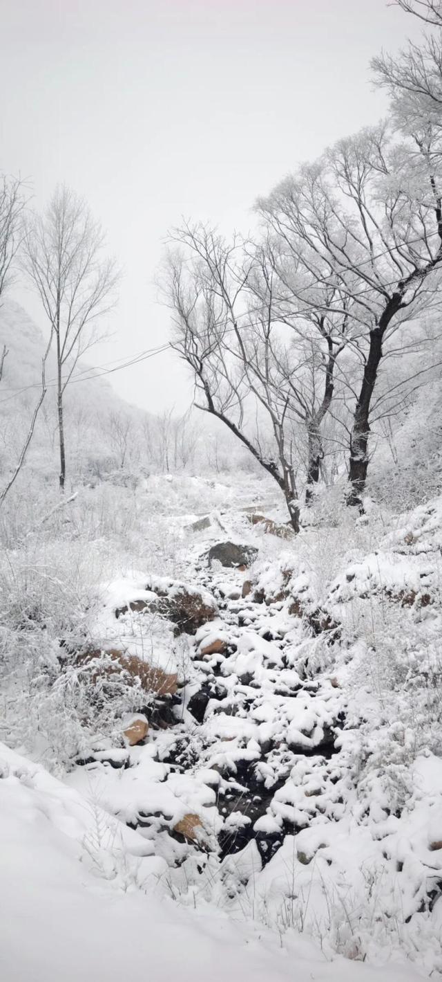 京城今冬首场雪，美景藏进相册里
