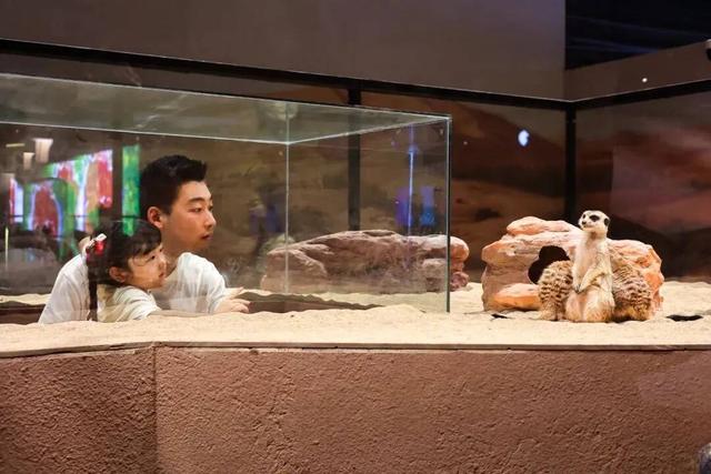 来青“第一站”引爆从海洋到沙漠奇妙之旅 青岛科技馆年度特展“热浪”来袭