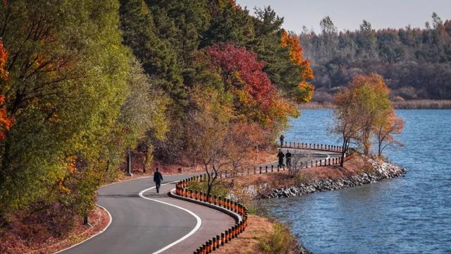 登高望远 敬老思亲 九九重阳 喜乐安康