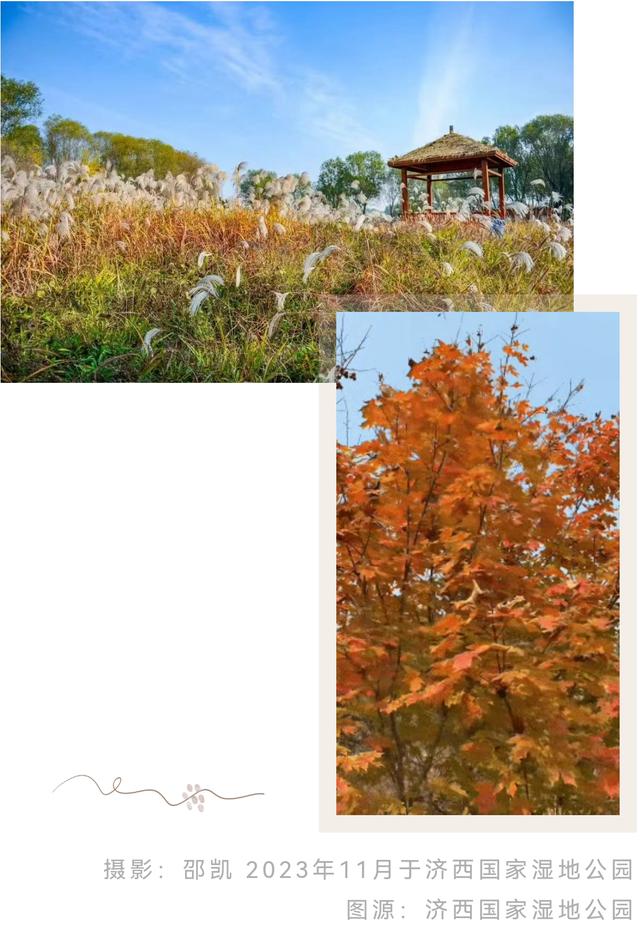 济南的秋天，大电影质感！