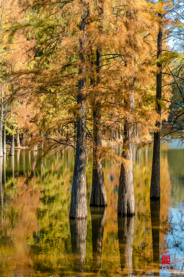 抓住晴天尾巴，徒步青龙山！