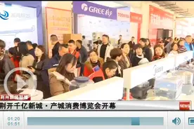 荆开千亿新城·产城消费博览会正式开幕图片