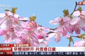 赏花、观鸟、游船……你打算用哪种方式赏春踏青？图片