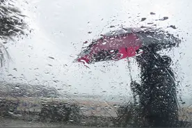 怎么又要下雨了！黏糊糊的天气，感觉呼吸道都要“发霉”了！图片