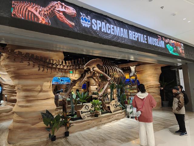 副中心文旅新地标“上新” 湾里开业首日客流超16万人次