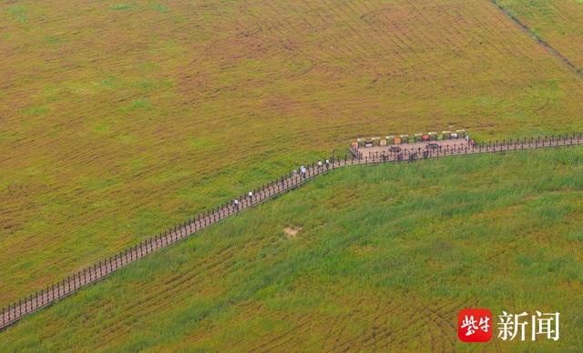 【图集】大美江苏！穿越森林秘境，漫步郊野公园，沉浸式感受"绿色动脉"