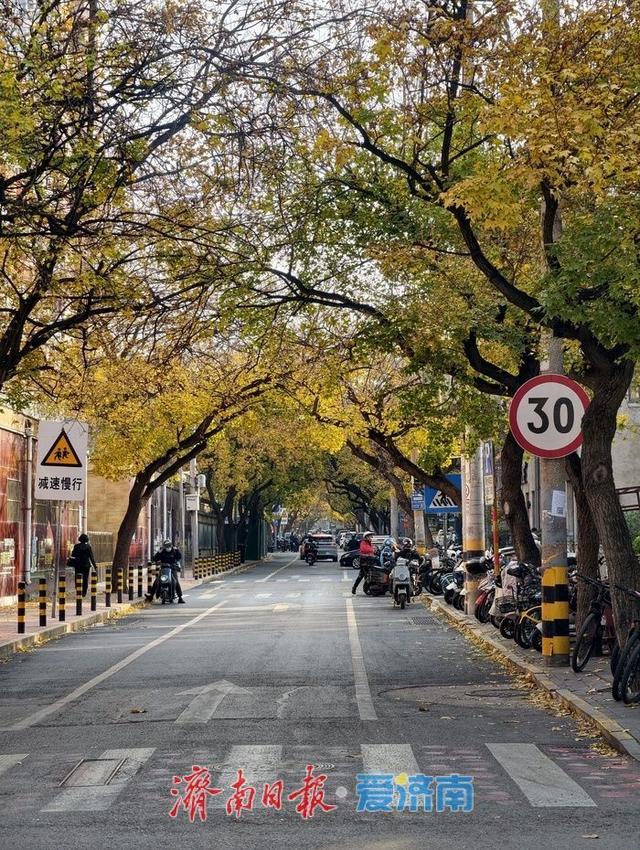 老商埠的冬日“限定款”！光影交织，邂逅浪漫美学秘境 | 一年四季 泉在济南