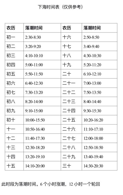 奉贤漫游指南：从海湾潮声到田园荷香，更有多重优惠